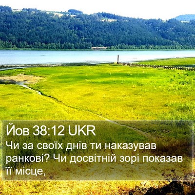 Йов 38:12 UKR Bible Verse Image
