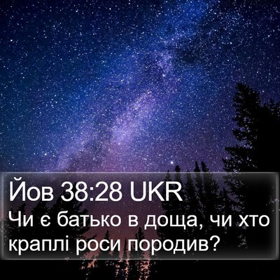 Йов 38:28 UKR Bible Verse Image