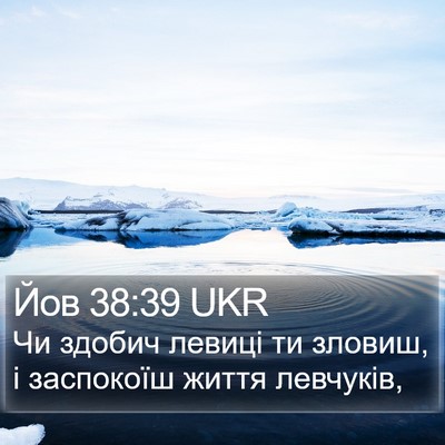 Йов 38:39 UKR Bible Verse Image