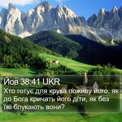 Йов 38:41 UKR Bible Verse Image