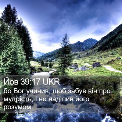 Йов 39:17 UKR Bible Verse Image