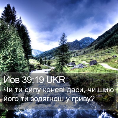 Йов 39:19 UKR Bible Verse Image
