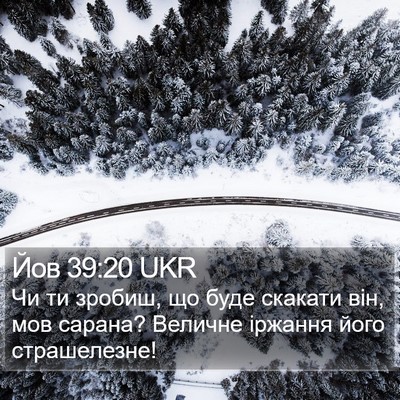 Йов 39:20 UKR Bible Verse Image