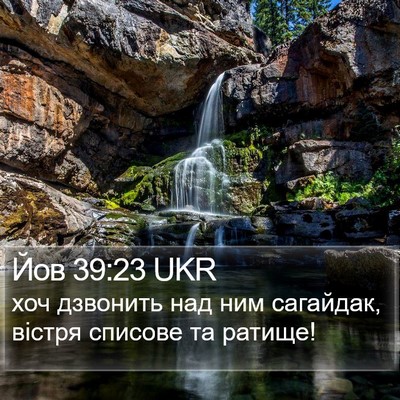 Йов 39:23 UKR Bible Verse Image