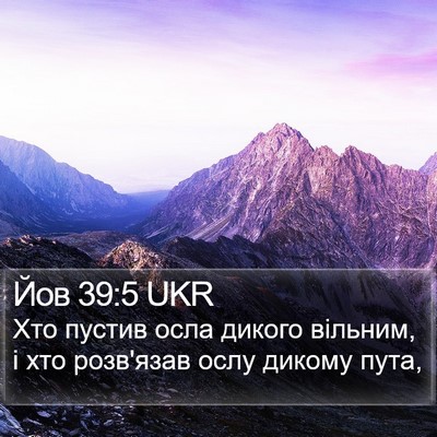 Йов 39:5 UKR Bible Verse Image