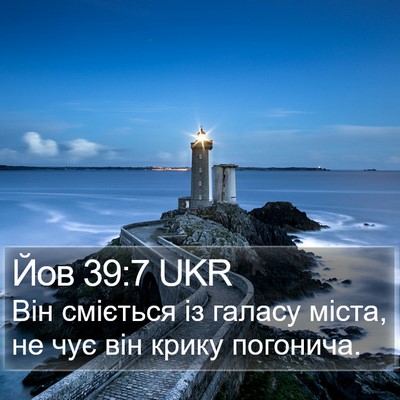 Йов 39:7 UKR Bible Verse Image