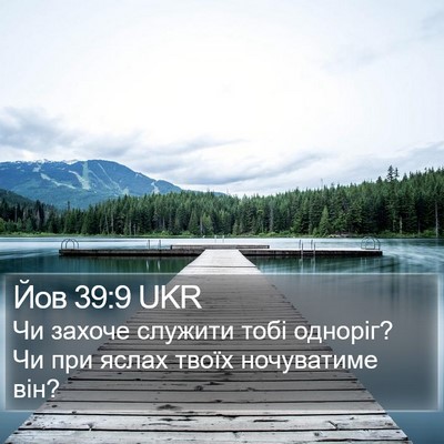 Йов 39:9 UKR Bible Verse Image