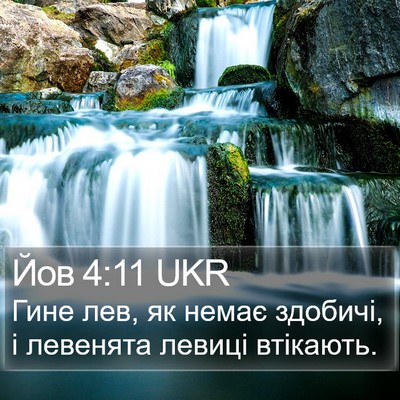 Йов 4:11 UKR Bible Verse Image