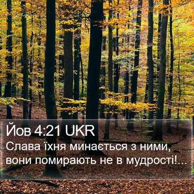 Йов 4:21 UKR Bible Verse Image