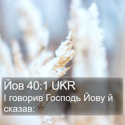 Йов 40:1 UKR Bible Verse Image