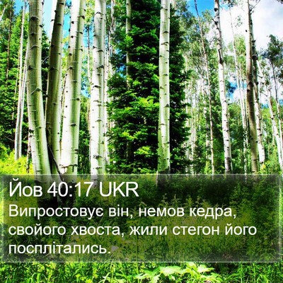 Йов 40:17 UKR Bible Verse Image
