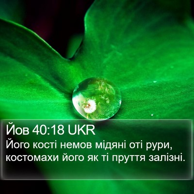 Йов 40:18 UKR Bible Verse Image