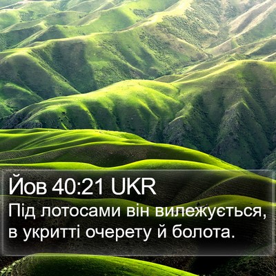 Йов 40:21 UKR Bible Verse Image