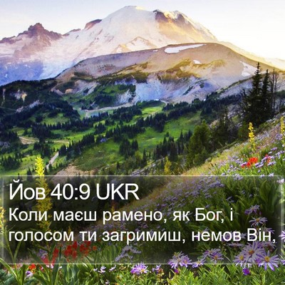 Йов 40:9 UKR Bible Verse Image