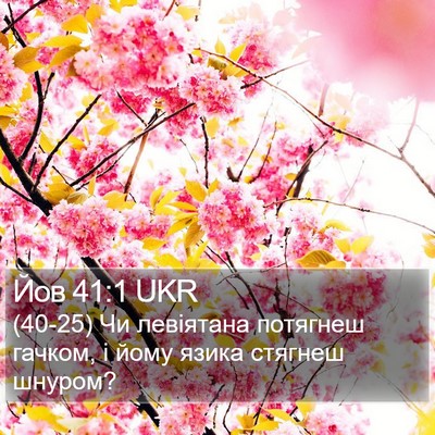 Йов 41:1 UKR Bible Verse Image