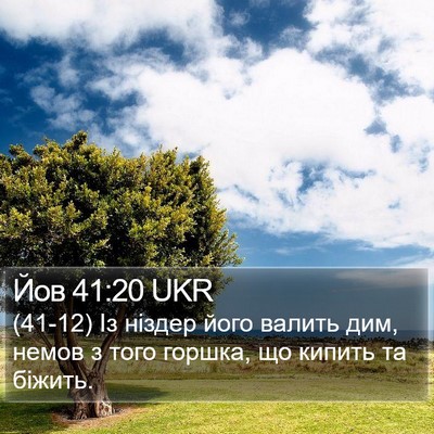 Йов 41:20 UKR Bible Verse Image