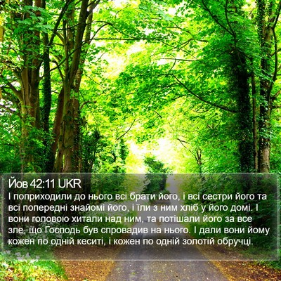 Йов 42:11 UKR Bible Verse Image