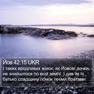 Йов 42:15 UKR Bible Verse Image