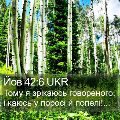 Йов 42:6 UKR Bible Verse Image