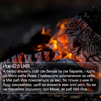 Йов 42:8 UKR Bible Verse Image
