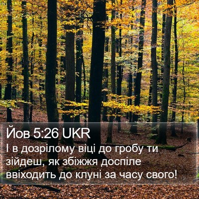 Йов 5:26 UKR Bible Verse Image