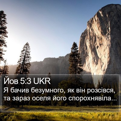 Йов 5:3 UKR Bible Verse Image