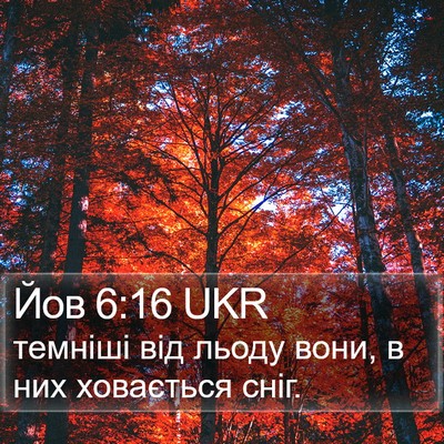 Йов 6:16 UKR Bible Verse Image