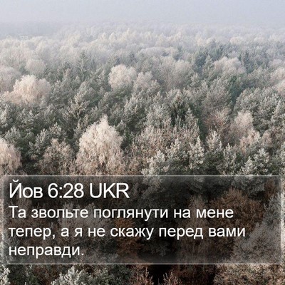 Йов 6:28 UKR Bible Verse Image