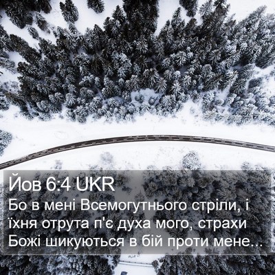 Йов 6:4 UKR Bible Verse Image