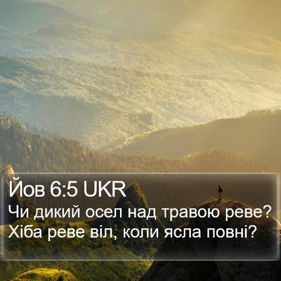 Йов 6:5 UKR Bible Verse Image