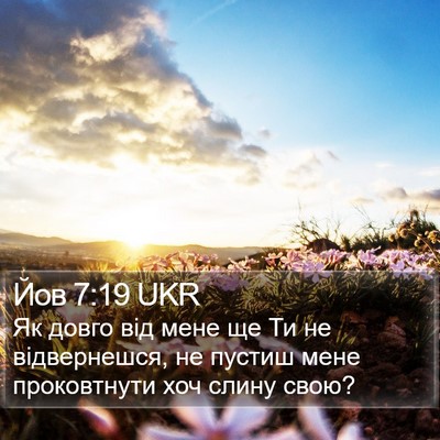 Йов 7:19 UKR Bible Verse Image