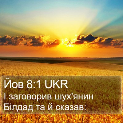 Йов 8:1 UKR Bible Verse Image