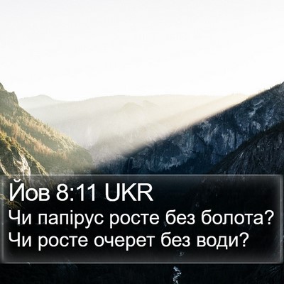 Йов 8:11 UKR Bible Verse Image