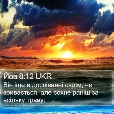 Йов 8:12 UKR Bible Verse Image