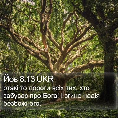 Йов 8:13 UKR Bible Verse Image