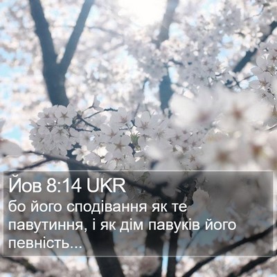 Йов 8:14 UKR Bible Verse Image