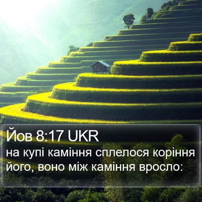 Йов 8:17 UKR Bible Verse Image