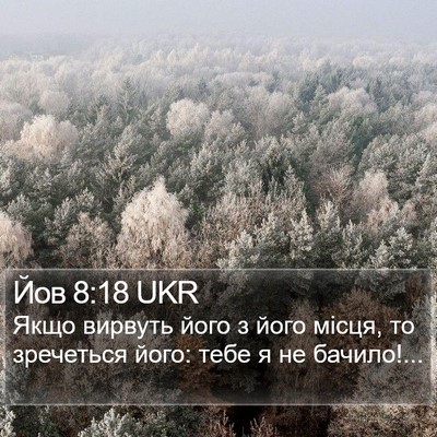 Йов 8:18 UKR Bible Verse Image
