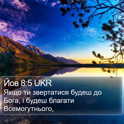 Йов 8:5 UKR Bible Verse Image