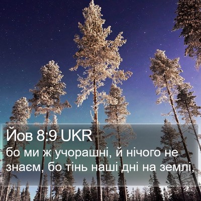 Йов 8:9 UKR Bible Verse Image