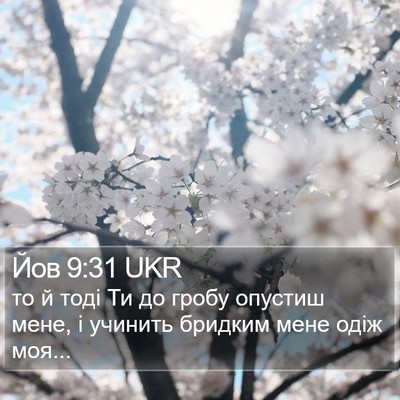 Йов 9:31 UKR Bible Verse Image