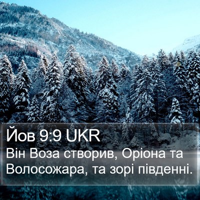 Йов 9:9 UKR Bible Verse Image