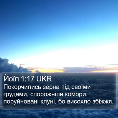 Йоїл 1:17 UKR Bible Verse Image
