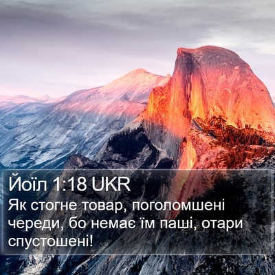 Йоїл 1:18 UKR Bible Verse Image