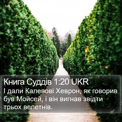 Книга Суддів 1:20 UKR Bible Verse Image