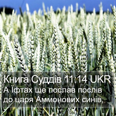 Книга Суддів 11:14 UKR Bible Verse Image
