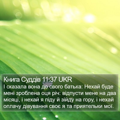 Книга Суддів 11:37 UKR Bible Verse Image