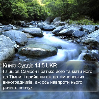 Книга Суддів 14:5 UKR Bible Verse Image