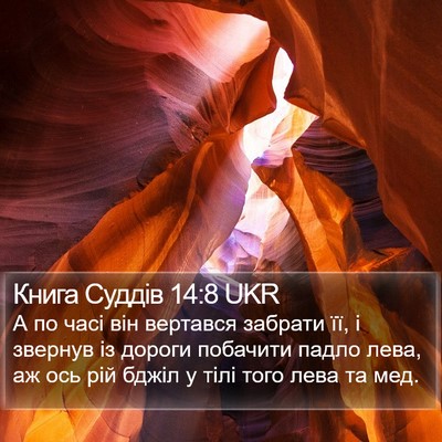 Книга Суддів 14:8 UKR Bible Verse Image