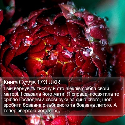 Книга Суддів 17:3 UKR Bible Verse Image